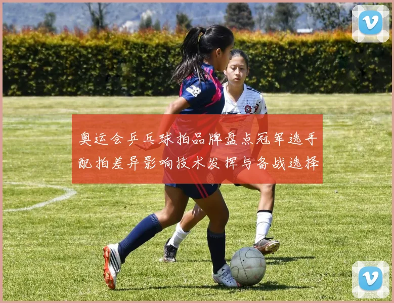 奥运会乒乓球拍品牌盘点冠军选手配拍差异影响技术发挥与备战选择